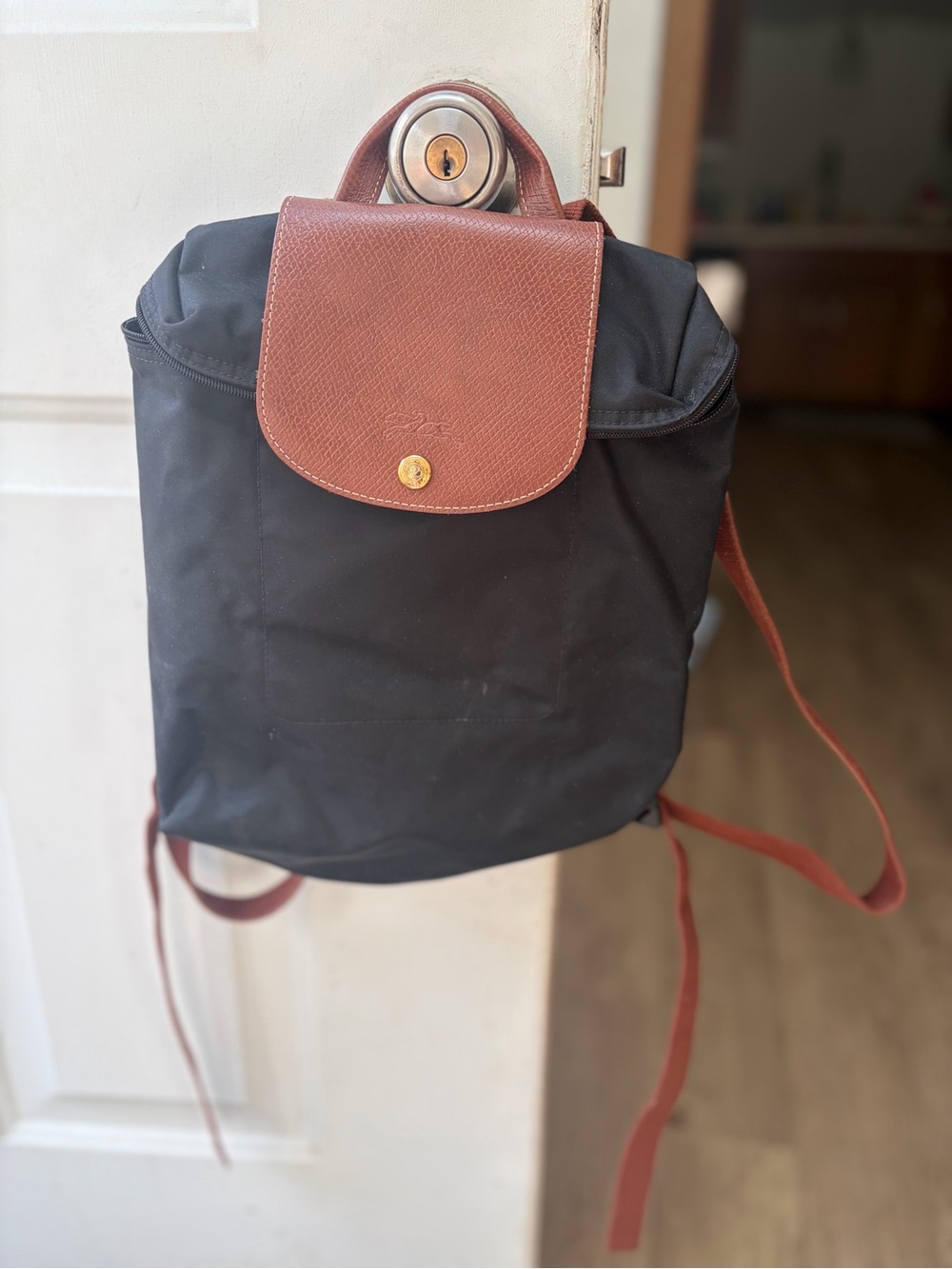 Longchamp backpack